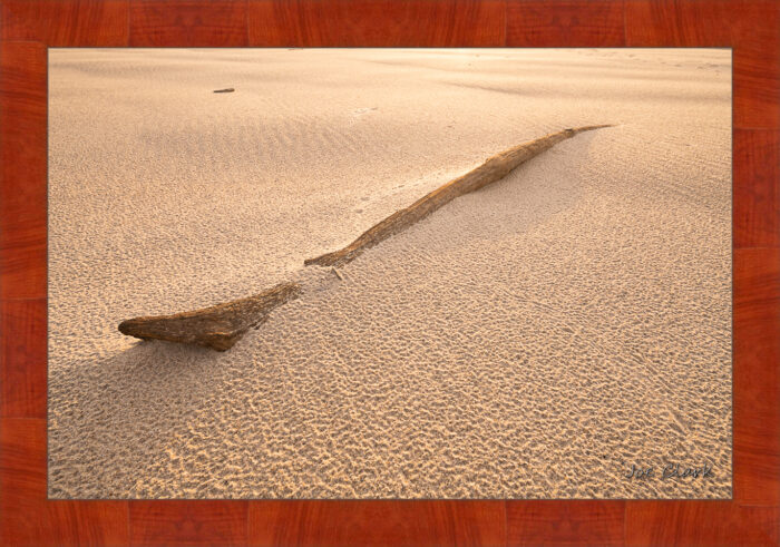 Nearly Forgotten - Image 4