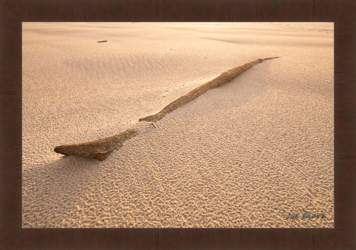 Nearly Forgotten - Image 6