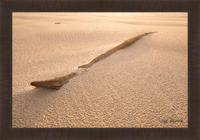 Nearly Forgotten - Image 2