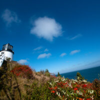 Owl's Head Light 2