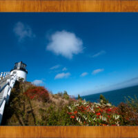 Owl's Head Light 2 - Image 5