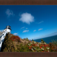 Owl's Head Light 2 - Image 6