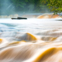 Rapids
