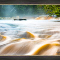 Rapids - Image 3