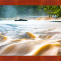 Rapids - Image 4