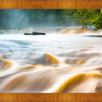 Rapids - Image 5