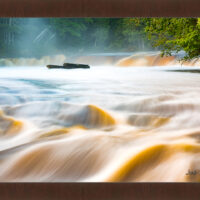 Rapids - Image 6