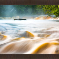 Rapids - Image 2