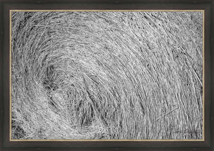 Round Bale - Image 3