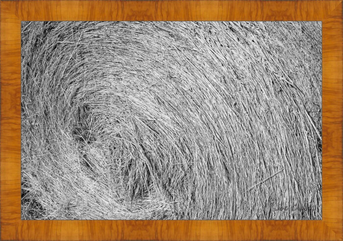 Round Bale - Image 5