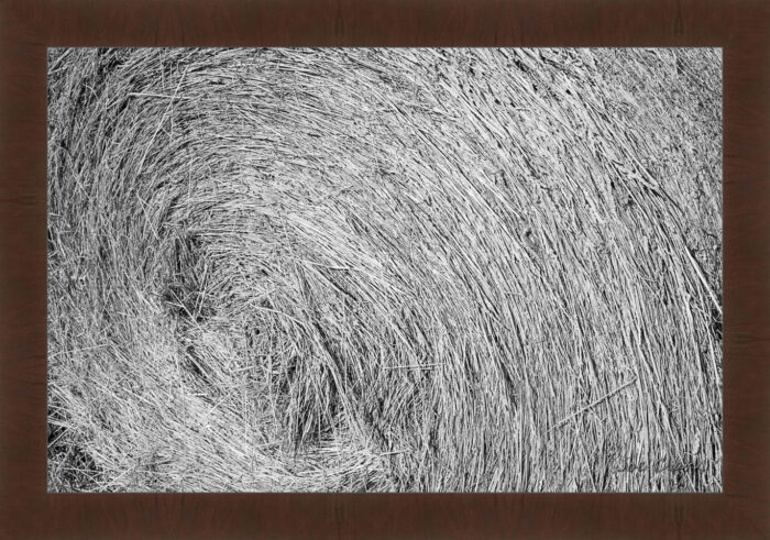 Round Bale - Image 6