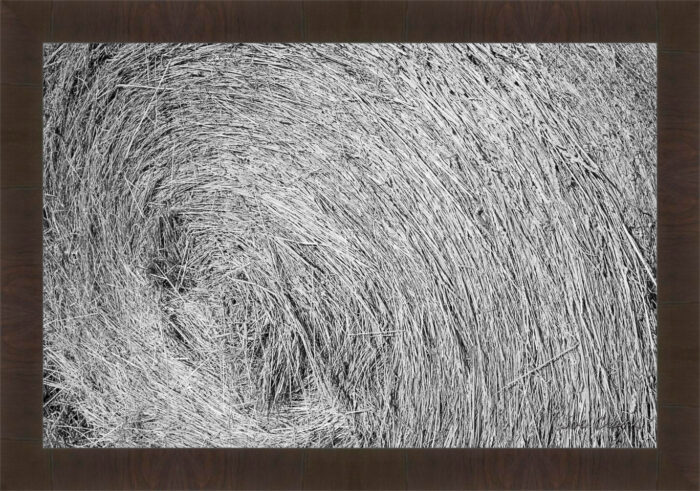 Round Bale - Image 2