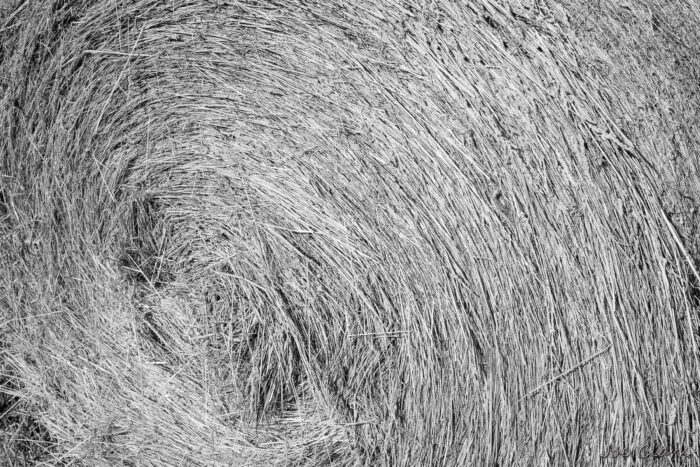 Round Bale