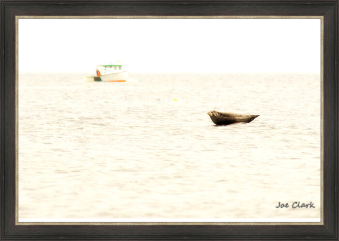 Seal Rock - Image 3
