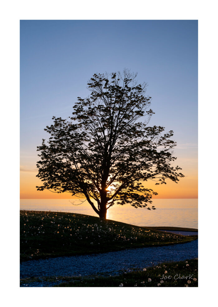 Sun's Song - Image 3