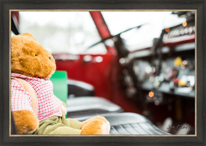 Teddy - Image 3