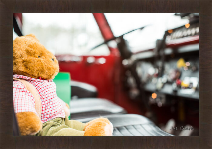 Teddy - Image 2