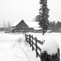 Winter on the Farm