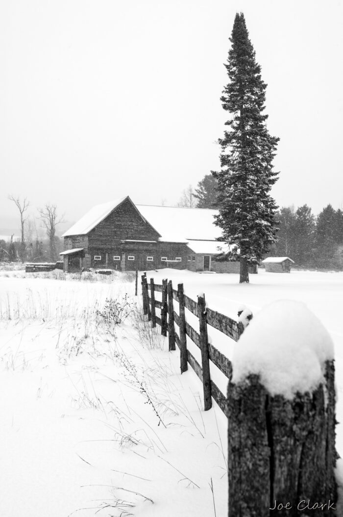 Winter on the Farm