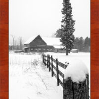 Winter on the Farm - Image 4