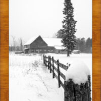 Winter on the Farm - Image 5