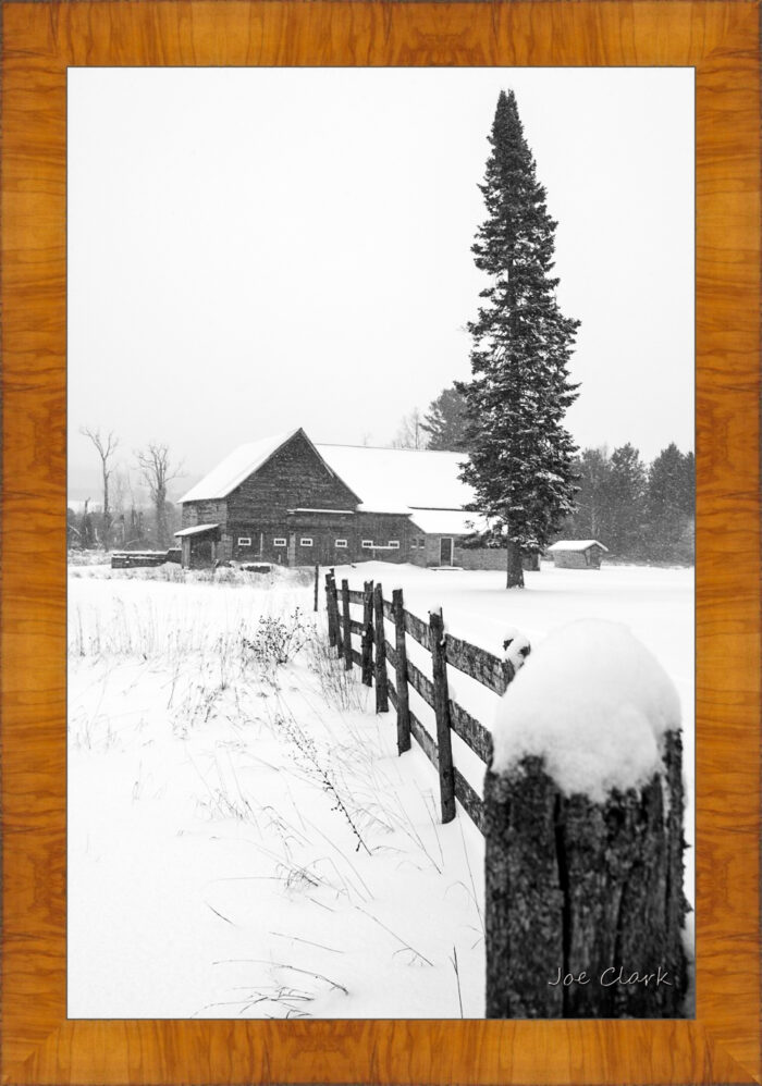 Winter on the Farm - Image 5