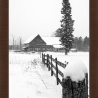 Winter on the Farm - Image 6