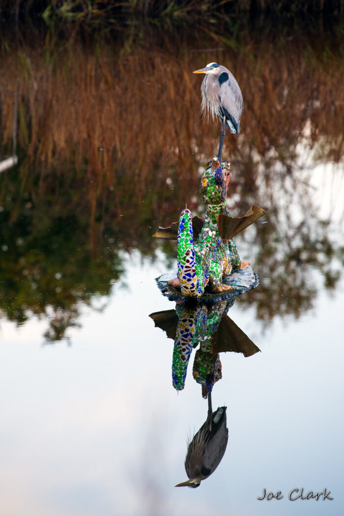 Hunting Heron