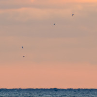 Winter's Glow - Image 3